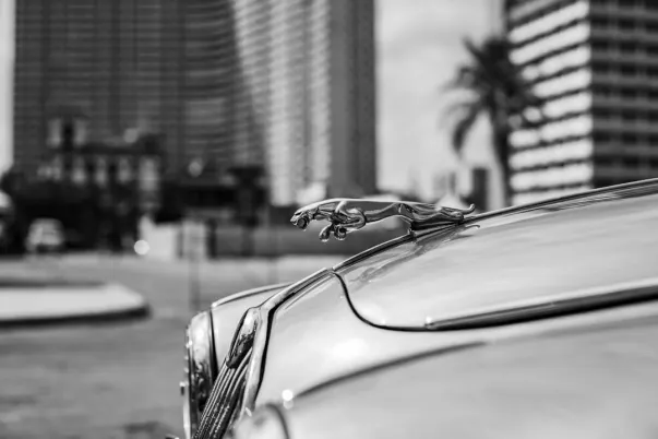 WagerWeb Casino Android/iOS-app